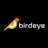 Birdeye.so logo