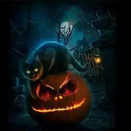 Alekss28 avatar