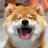 bocai avatar