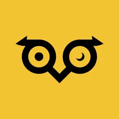 Owlto Finance Icon