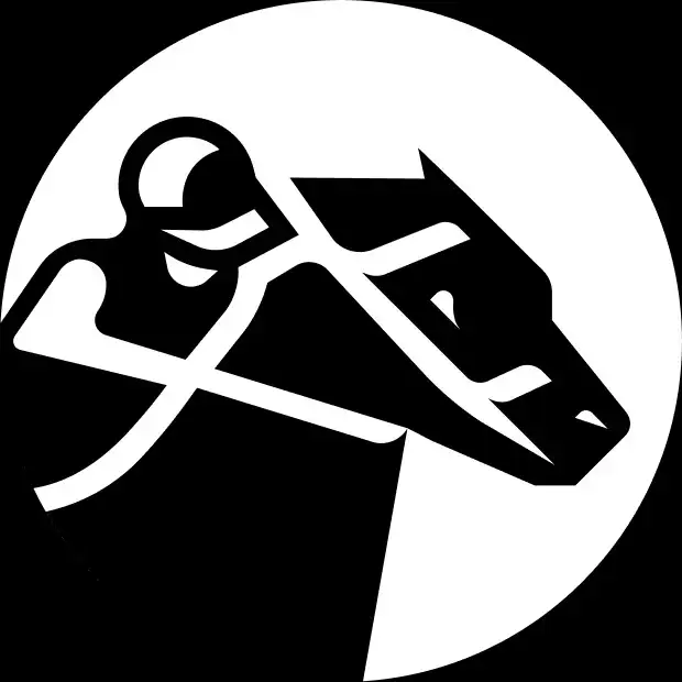 zkRace Icon