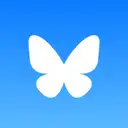 Bluesky Icon