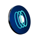 ChainPort Developer