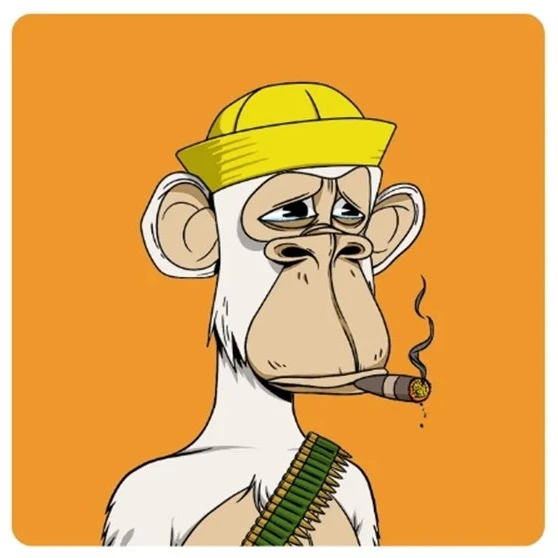 zare1854 avatar