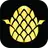 MetaDragon logo