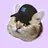 CatSolHat logo