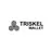Triskel Wallet logo