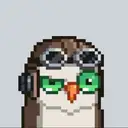 FlappyMoonBird Developer