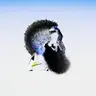 istep avatar