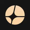 Aster Icon