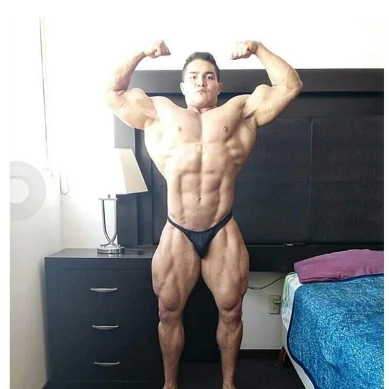 Gandara avatar