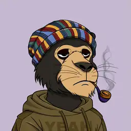 visv555 avatar