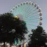 Maxix2024 avatar