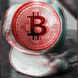 Redya avatar