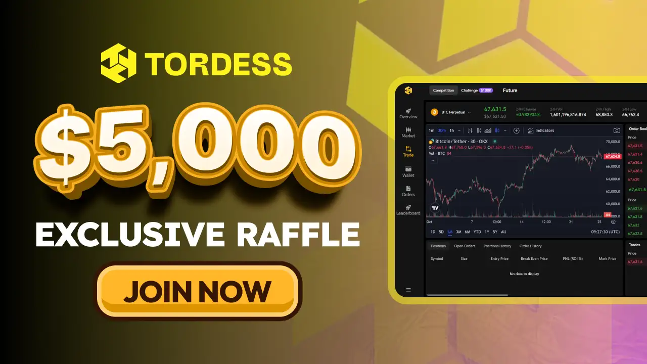 Tordess Magic Store Hot Offer