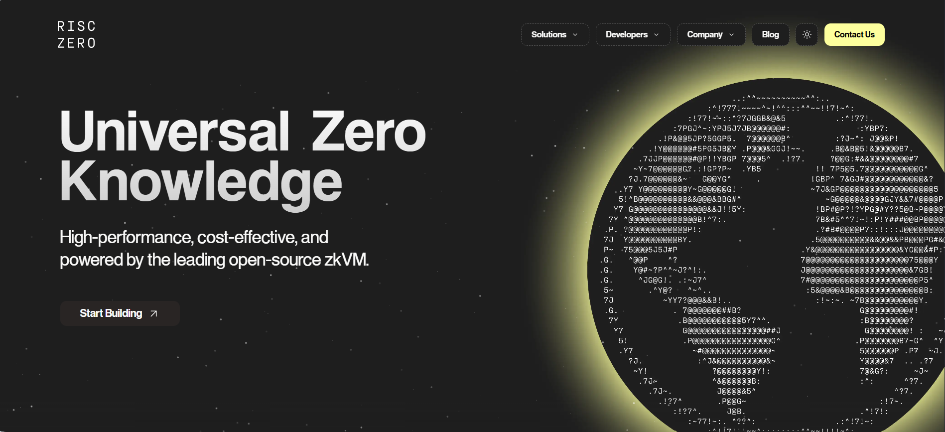 Zero-knowledge verifiable compute platform