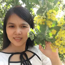 Thuy83 avatar