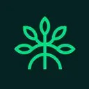 Mangrove Icon