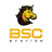 BSCS logo