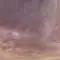 Venessa avatar