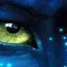 murat13 avatar