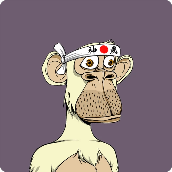 AleksandrKano avatar