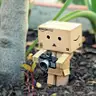 danboard avatar
