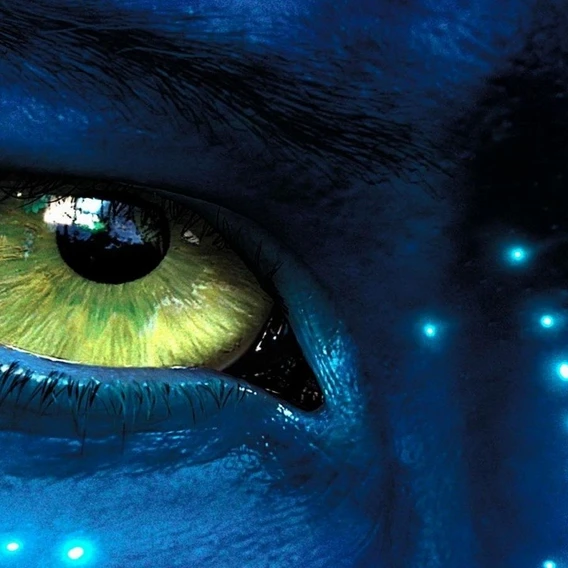 murat13 avatar