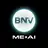 Brand New Vision logo