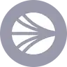 sonic icon