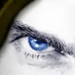 Varan avatar