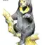 Biruang avatar