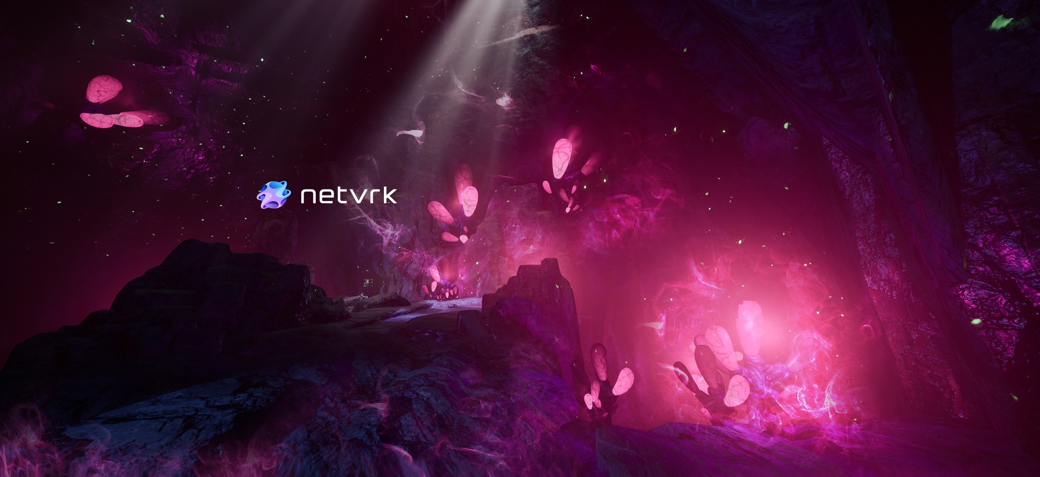NetVRk: Latest (2026) Reviews, Rewards, Deals & News on MagicStore
