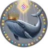 Dilip avatar