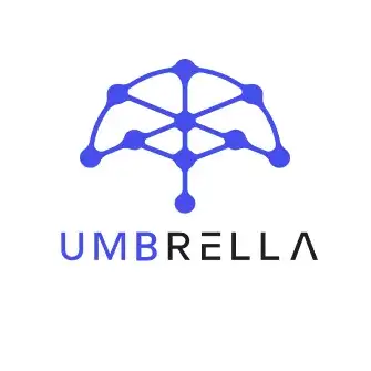 Umbrella Network Icon