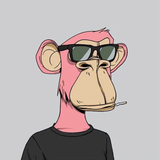 MIKKI avatar